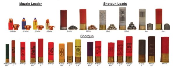 1 Gauge Shotgun Shell