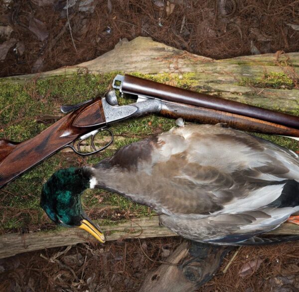 Punt Gun Duck Hunting